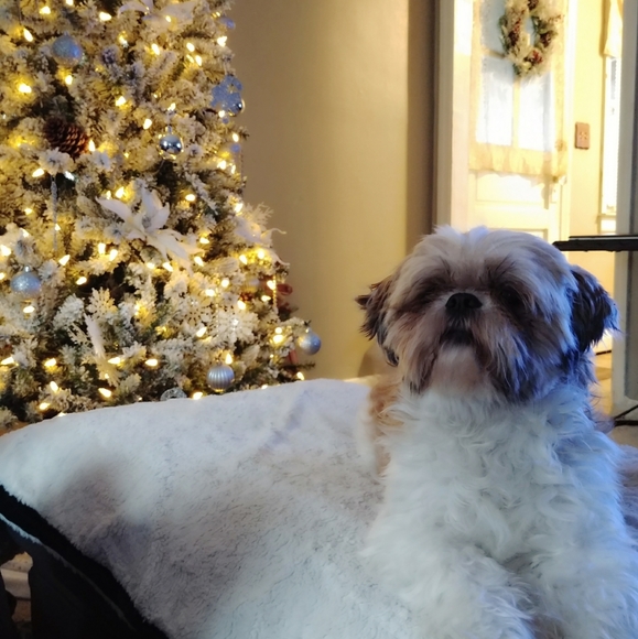 Meet your Poshers Megan and Hector R. - Picture 4 of 10